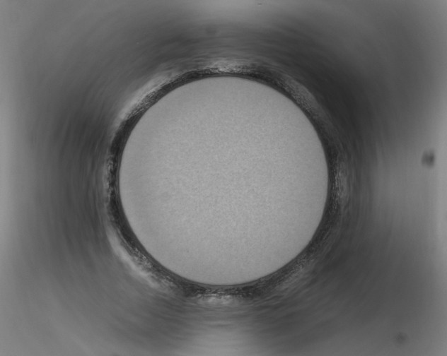 X0000115560730200912181616