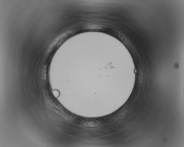 X0000115560731200912181616