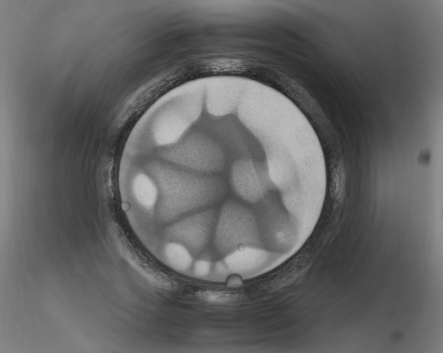 X0000115560733200912181616