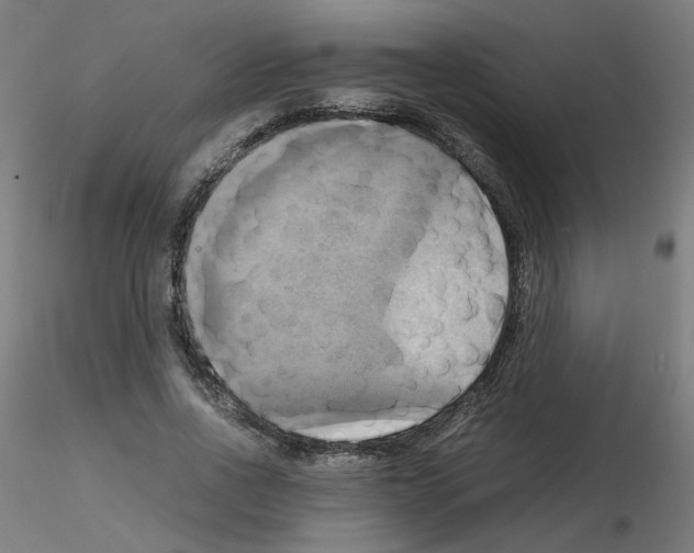 X0000115560734200912181616