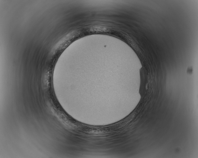 X0000115560735200912181616