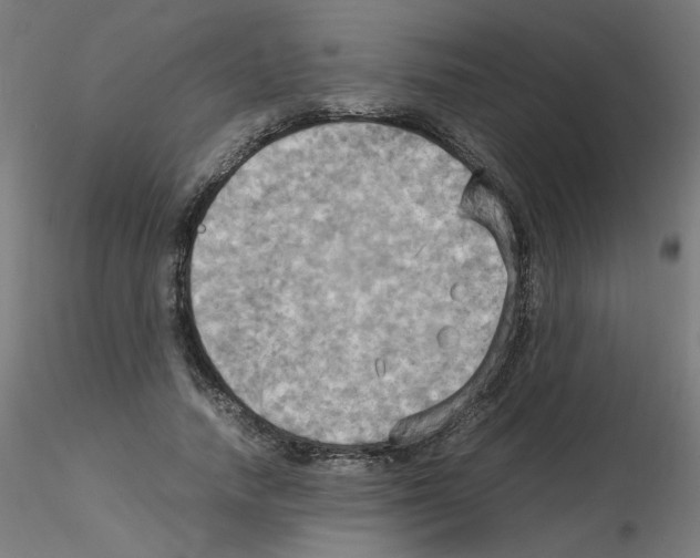 X0000115560738200912181616