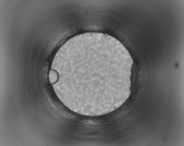 X0000115560739200912181616