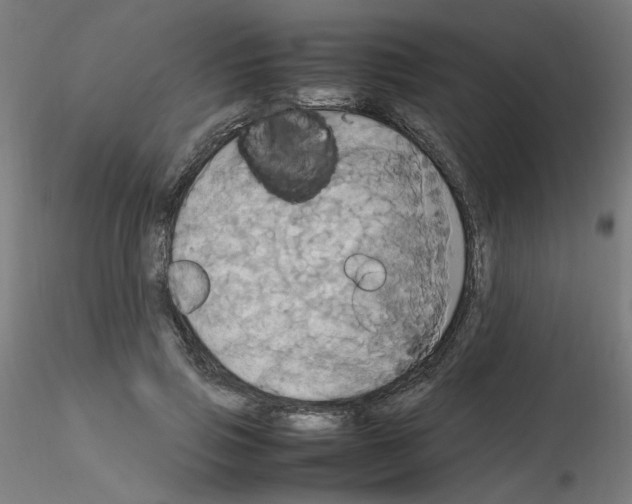 X0000115560741200912181617