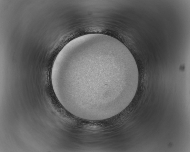 X0000115560743200912181617