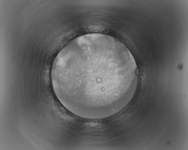 X0000115560745200912181617