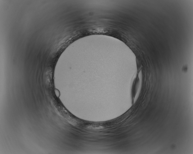 X0000115560747200912181617