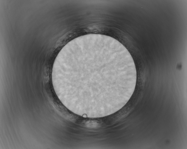 X0000115560751200912181617