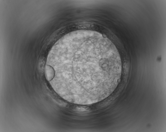 X0000115560753200912181617