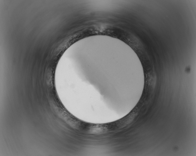 X0000115560754200912181617