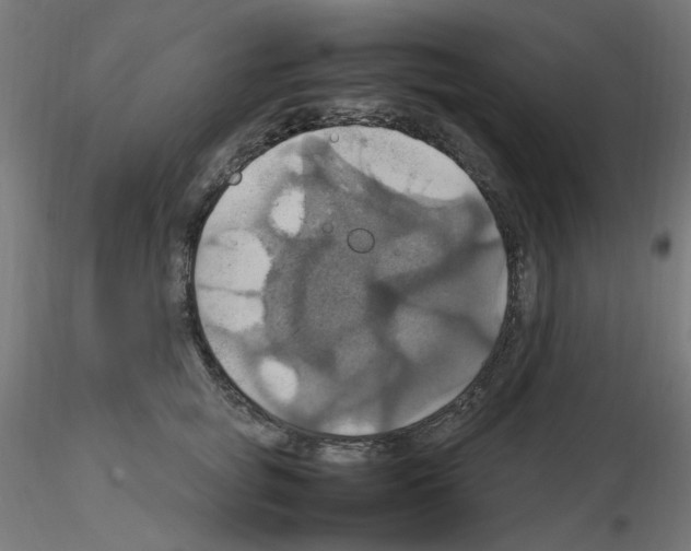 X0000115560757200912181617