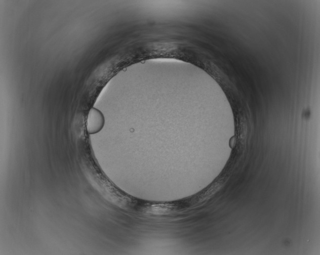 X0000115560758200912181617