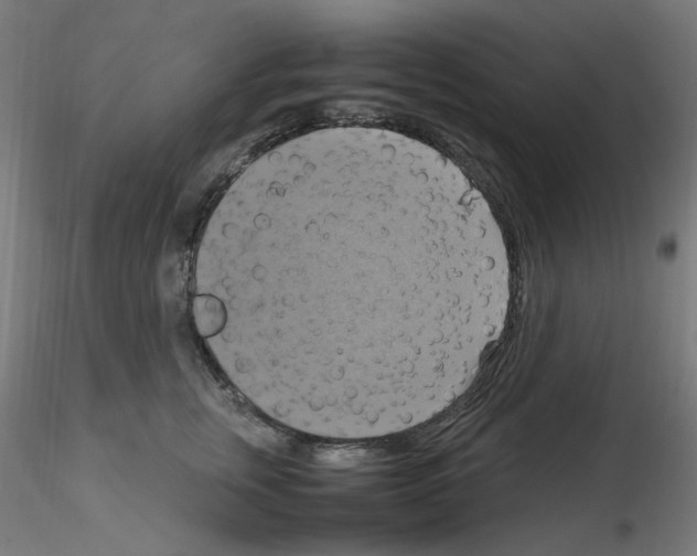 X0000115560759200912181617