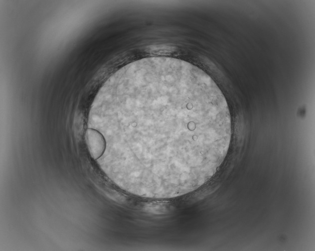 X0000115560761200912181617