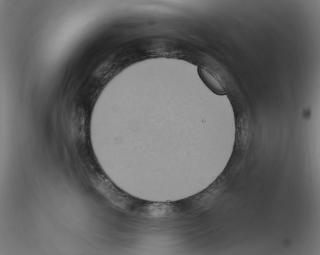 X0000115560762200912181617