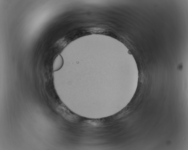 X0000115560763200912181617