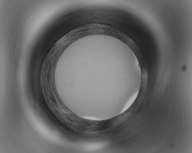 X0000115560765200912181617