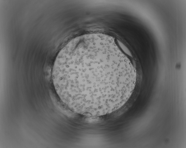 X0000115560767200912181617