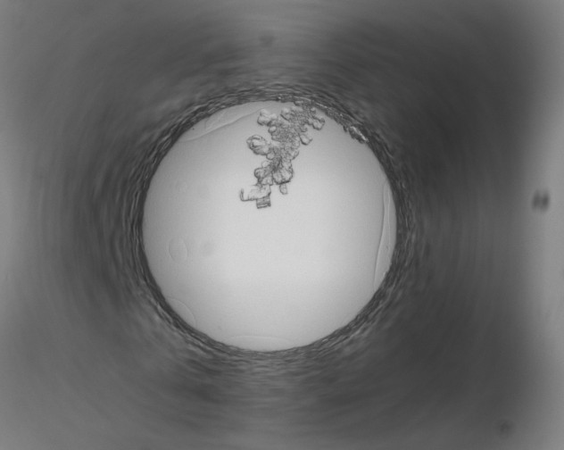 X0000115560769200912181616