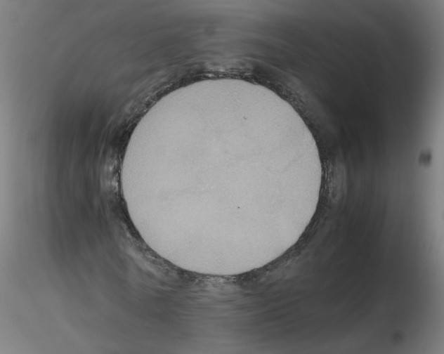 X0000115560770200912181616