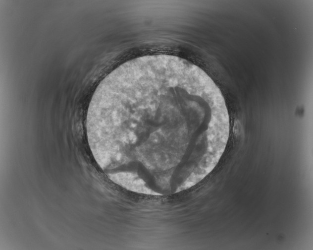 X0000115560771200912181616