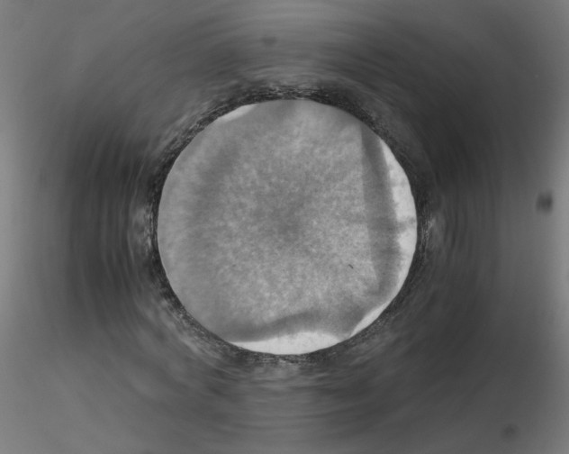 X0000115560772200912181616