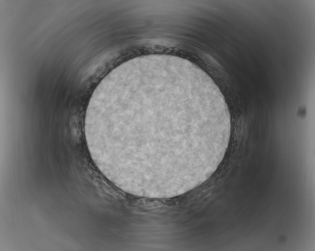 X0000115560774200912181616