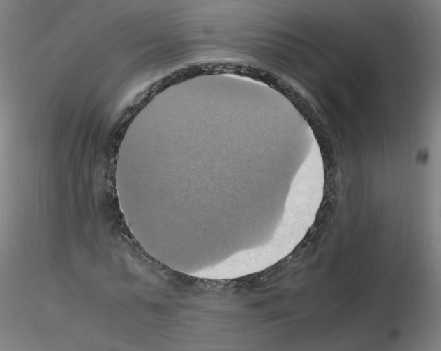 X0000115560775200912181616