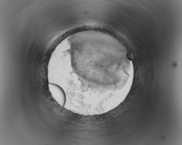 X0000115560776200912181616