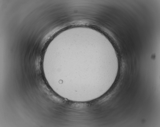 X0000115560778200912181616