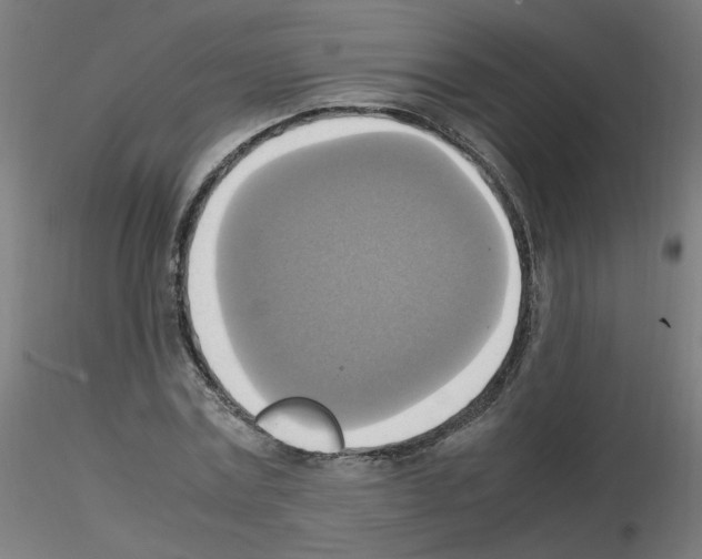 X0000115560779200912181616