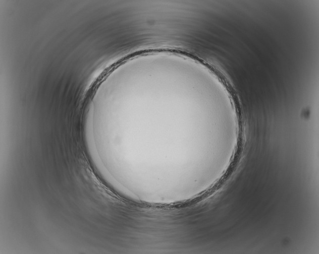 X0000115560781200912181616