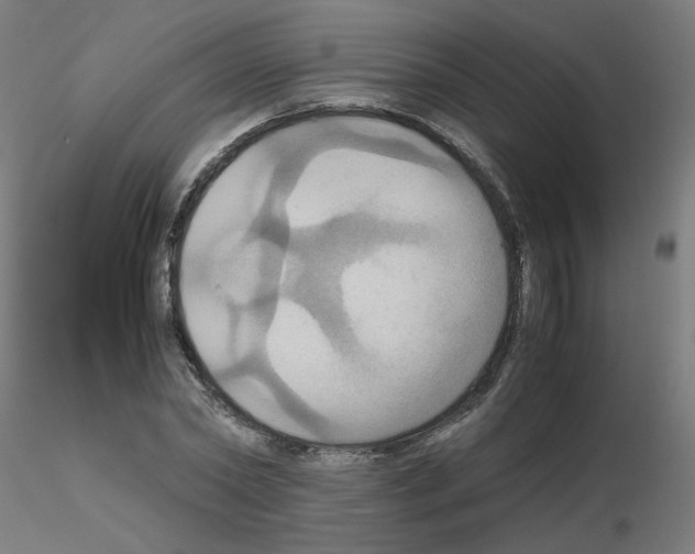 X0000115560782200912181616