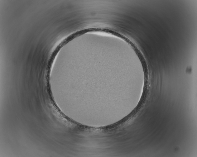 X0000115560783200912181616