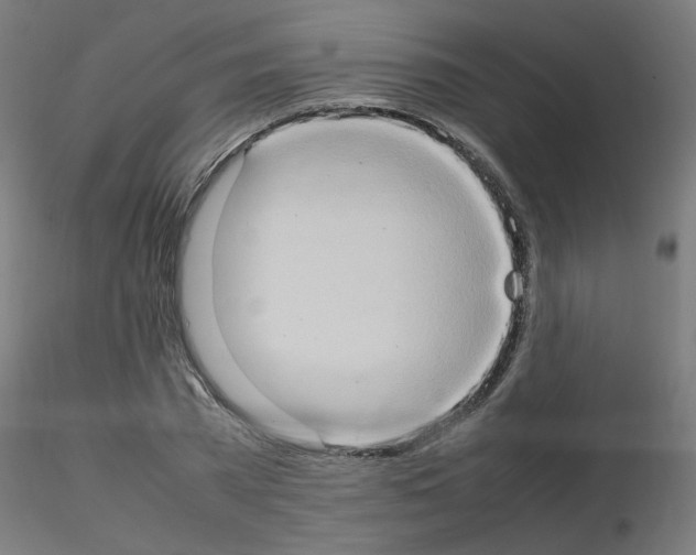 X0000115560785200912181616