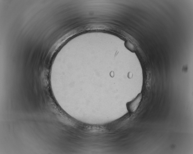 X0000115560786200912181616