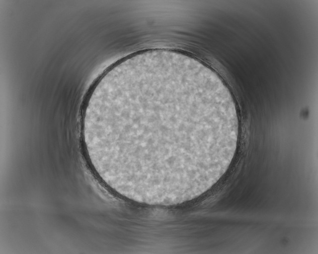 X0000115560787200912181616