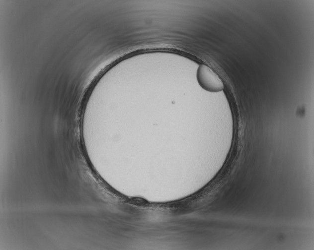 X0000115560789200912181616