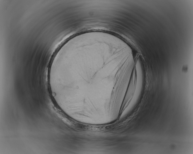 X0000115560790200912181616