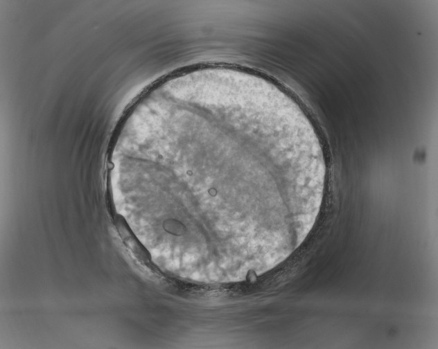 X0000115560791200912181616