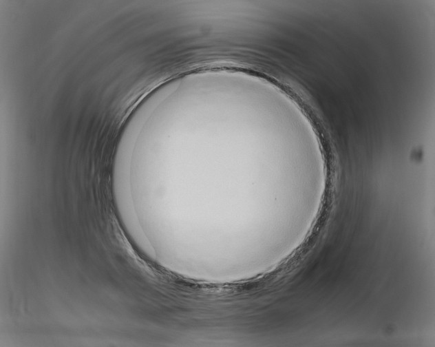 X0000115560793200912181616