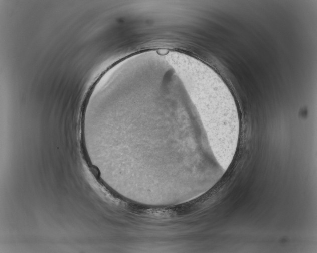 X0000115560795200912181616