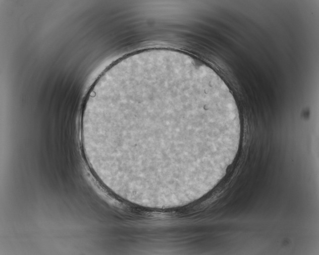 X0000115560796200912181616