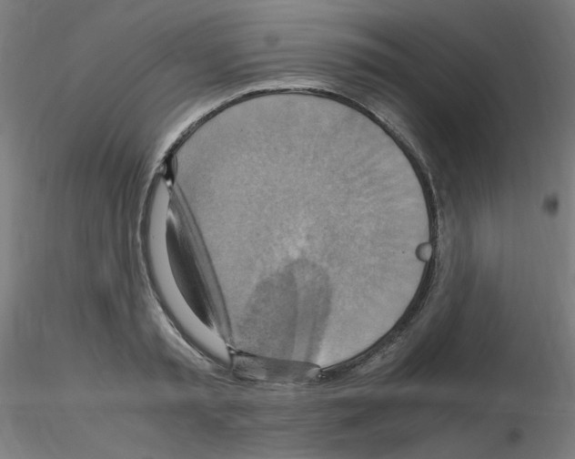 X0000115560797200912181616