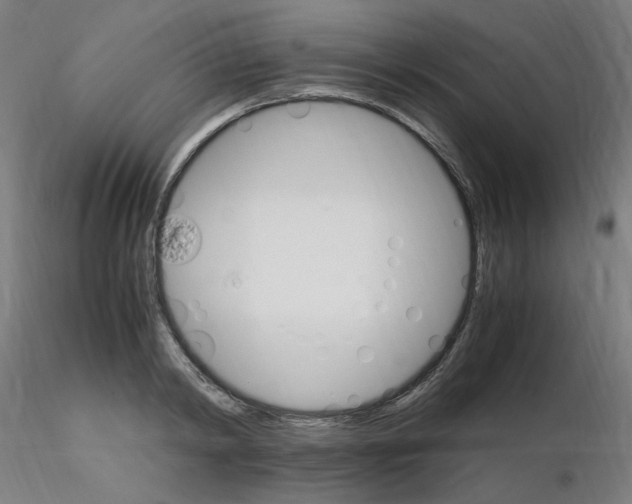 X0000115560798200912181616