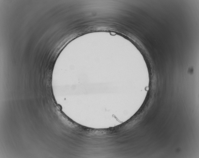 X0000115560801200912181616