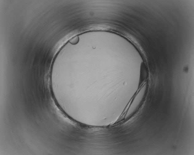 X0000115560802200912181616