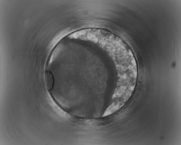 X0000115560803200912181616