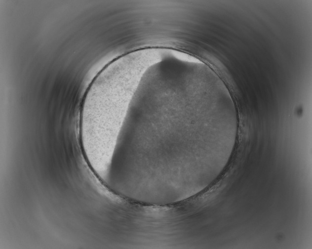 X0000115560804200912181616