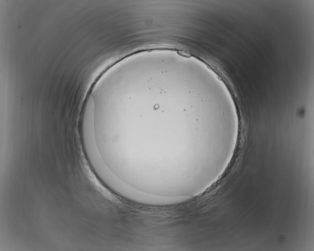 X0000115560805200912181616